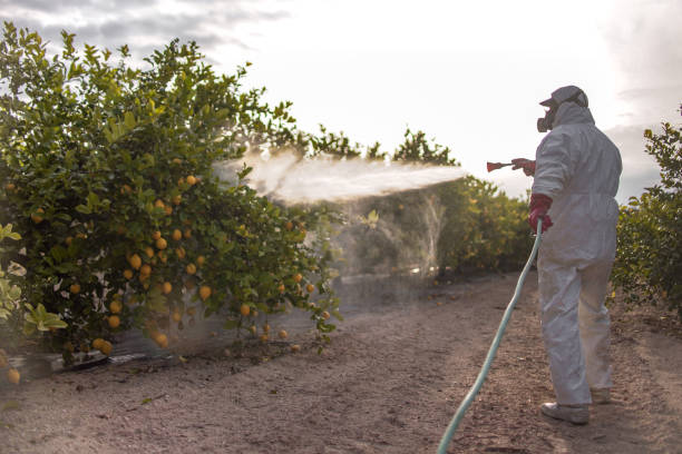 Best Cockroach Control Services  in Glen Burnie, MD