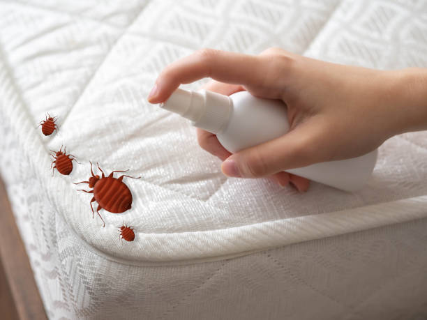 Best Commercial Pest Control Services  in Glen Burnie, MD