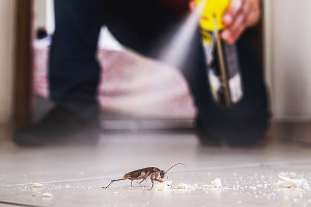 Best Rat Extermination Near Me  in Glen Burnie, MD
