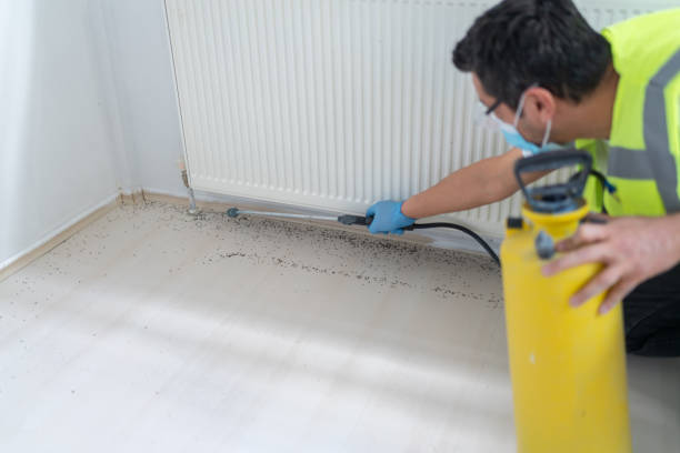 Best Wasp Removal Services  in Glen Burnie, MD