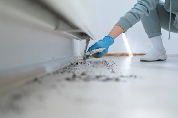Best Bed Bug Extermination  in Glen Burnie, MD